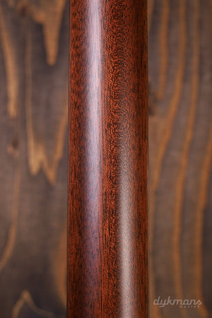 Martin D-16E Palisander