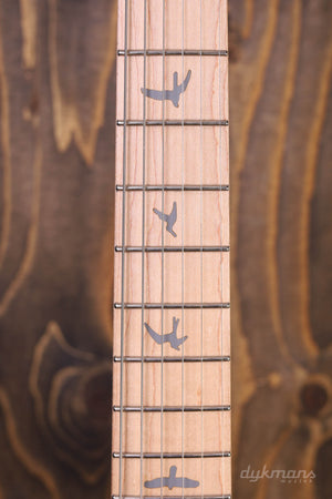 PRS SE Silber Himmel Steinblau