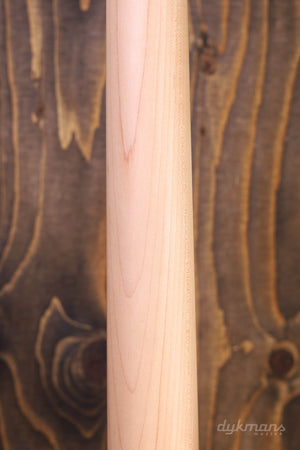 PRS SE Silber Himmel Steinblau