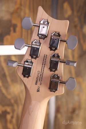 PRS SE Silber Himmel Steinblau