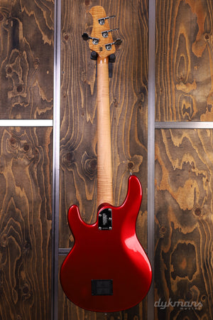 Music Man Stingray Special Candyman VORBESTELLUNG