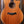 Taylor C14ce Custom GA # NAMM 2024 Walnut/Cedar