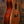 Taylor C14ce Custom GA # NAMM 2024 Walnut/Cedar