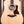 Taylor Legacy-Serie 810e
