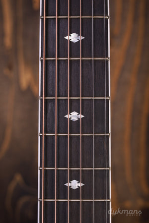Taylor Legacy-Serie 810e
