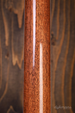 Taylor Legacy-Serie 810e