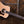 Taylor Legacy-Serie 810e