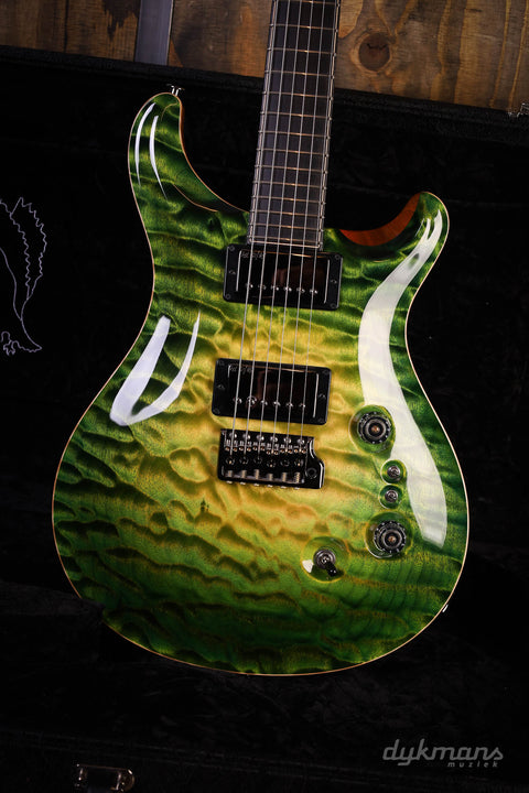 PRS Private Stock #10485 CU 24-08 Rainforest Glow mit Birds of a Feather Inlay