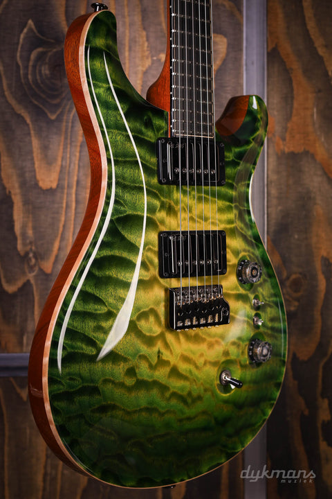 PRS Private Stock #10485 CU 24-08 Rainforest Glow mit Birds of a Feather Inlay