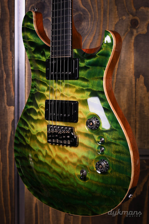 PRS Private Stock #10485 CU 24-08 Rainforest Glow mit Birds of a Feather Inlay