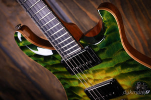 PRS Private Stock #10485 CU 24-08 Rainforest Glow mit Birds of a Feather Inlay