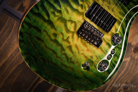 PRS Private Stock #10485 CU 24-08 Rainforest Glow mit Birds of a Feather Inlay