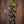 PRS Private Stock #10485 CU 24-08 Rainforest Glow mit Birds of a Feather Inlay