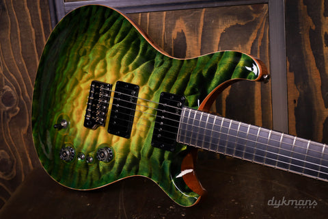 PRS Private Stock #10485 CU 24-08 Rainforest Glow mit Birds of a Feather Inlay