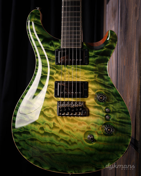 PRS Private Stock #10485 CU 24-08 Rainforest Glow mit Birds of a Feather Inlay