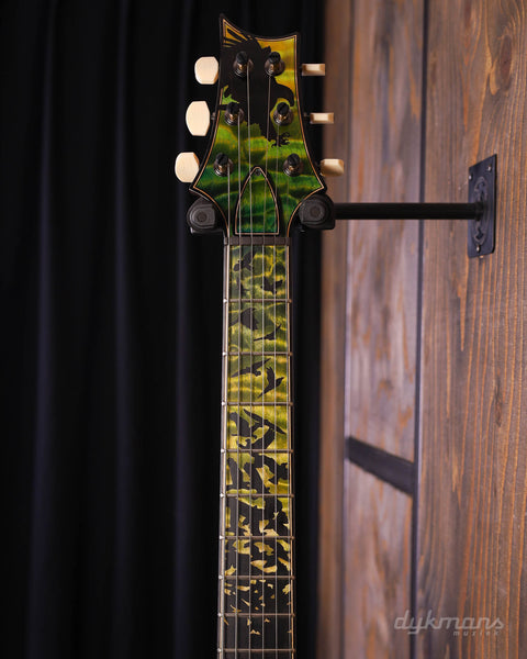 PRS Private Stock #10485 CU 24-08 Rainforest Glow mit Birds of a Feather Inlay