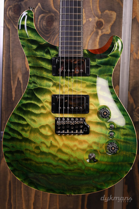 PRS Private Stock #10485 CU 24-08 Rainforest Glow mit Birds of a Feather Inlay