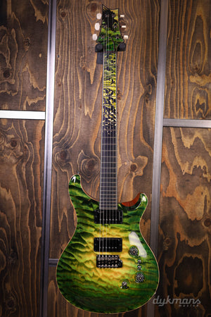 PRS Private Stock #10485 CU 24-08 Rainforest Glow mit Birds of a Feather Inlay