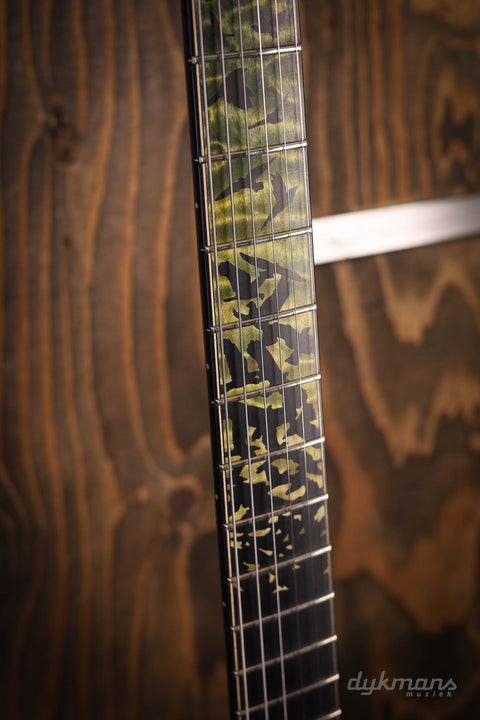 PRS Private Stock #10485 CU 24-08 Rainforest Glow mit Birds of a Feather Inlay