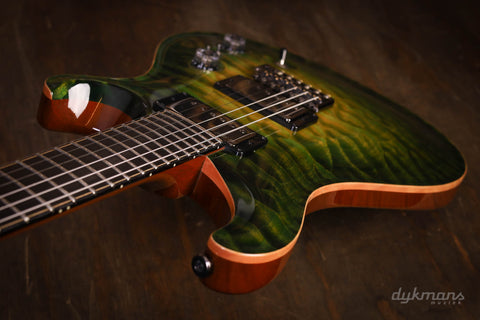 PRS Private Stock #10485 CU 24-08 Rainforest Glow mit Birds of a Feather Inlay