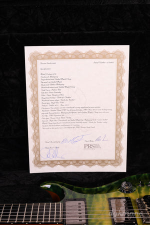 PRS Private Stock #10485 CU 24-08 Rainforest Glow mit Birds of a Feather Inlay