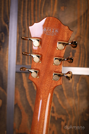 Ibanez PM200 Pat Metheny