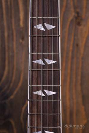 Epiphone DG-335 Dave Grohl Signature VORBESTELLUNG