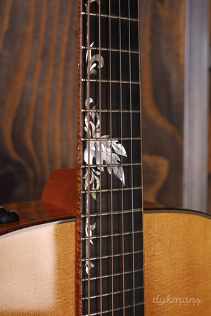 Taylor Custom-DN Koa GEBRAUCHT!