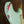 Fender Custom Shop Stratocaster Heavy Relic Surf Green Over Pink Paisley
