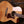 Eastman PCH3-GACE-AB Amber Burst