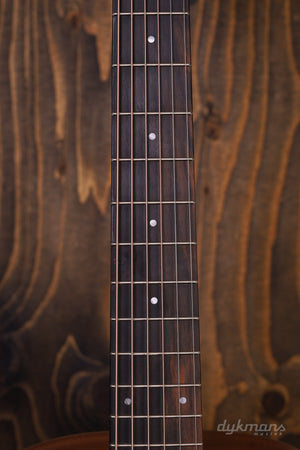 Taylor GS mini-e Special Edition Paisley Burst