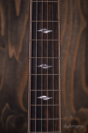 Taylor Builder's Edition 814ce Adirondack-Fichte