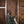 PRS Custom 24-08 Wood Library Sage