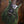 PRS Custom 24-08 Wood Library Sage