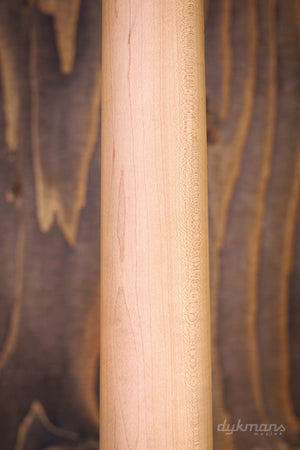 PRS SE Swamp Ash Spezialkohle