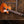 Gibson Les Paul Standard 60s Figured Top Honey Amber