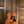 Taylor GS Mini-e Mahagoni