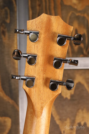 Taylor GS Mini-e Mahagoni