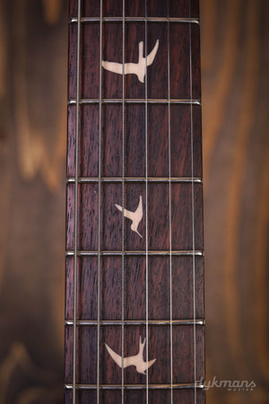 PRS SE Silber Himmel Steinblau