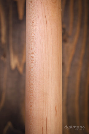 PRS SE Silber Himmel Steinblau