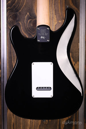 PRS SE Silber Himmel Steinblau