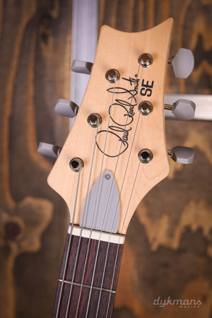 PRS SE Silber Himmel Steinblau