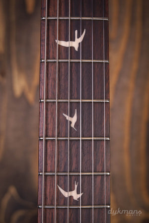 PRS SE Silber Himmel Steinblau