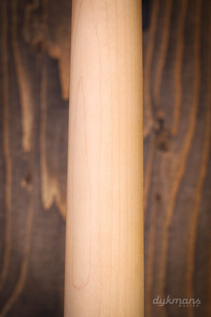 PRS SE Silber Himmel Steinblau