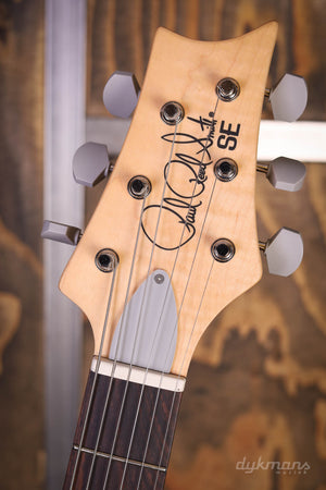 PRS SE Silber Himmel Steinblau