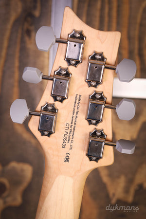 PRS SE Silber Himmel Steinblau