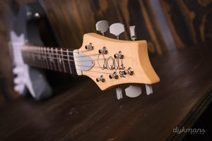 PRS SE Silber Himmel Steinblau