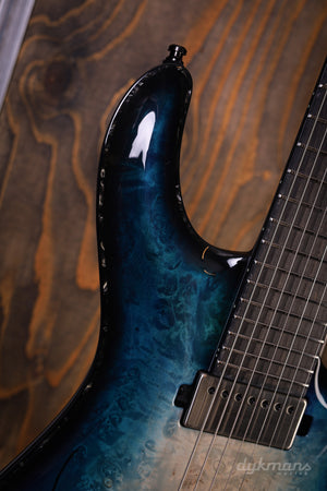 Mayones Regius Core 7 Wurzelahorn 5A VORBESTELLUNG