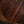 Lowden S50J Ziricote Alpine Fichte Blatt-Inlay