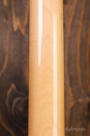 Fender American Professional II Lake Placid Blue Limited Edition Palisanderhals